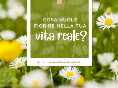 Cosa vuole sbocciare nella tua vita